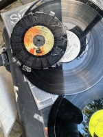 https://www.dieraum.net/files/gimgs/th-129_20240604_dr_Vinyl-terror and -horror_018_w.jpg